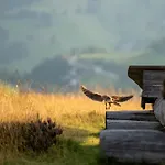 Daire Ausklang - Todtnauberg, Feldberg *