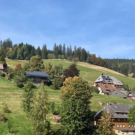 Ausklang - Todtnauberg, Feldberg
