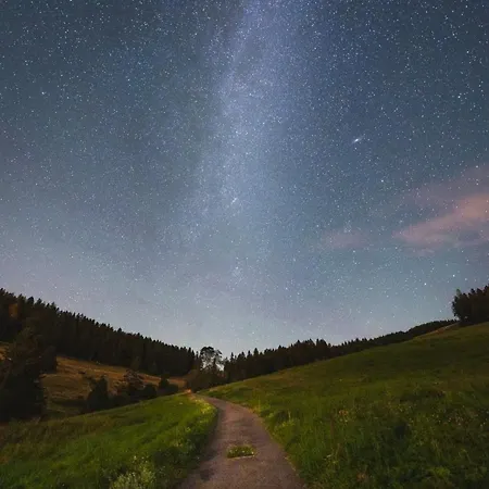 Apartamento Ausklang - Todtnauberg, Feldberg Todtnau