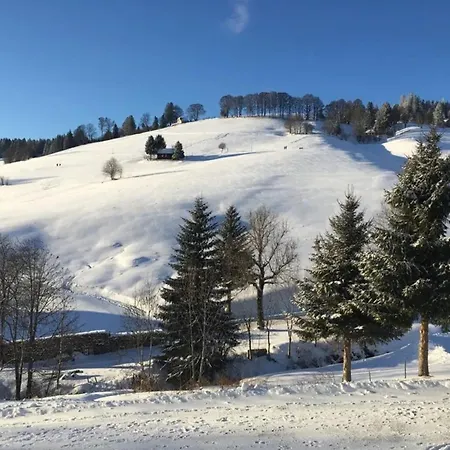 アパート Ausklang - Todtnauberg, Feldberg *