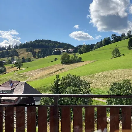 Ausklang - Todtnauberg, Feldberg Apartamento