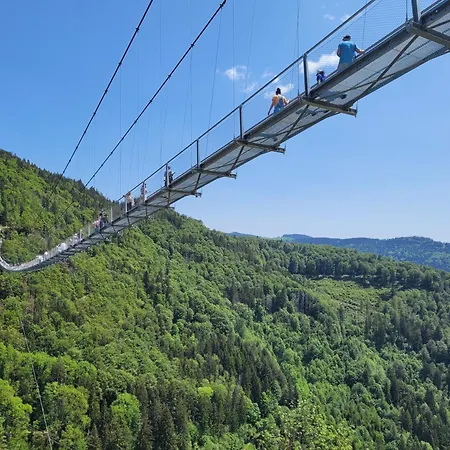 Ausklang - Todtnauberg, Feldberg Apartamento Todtnau